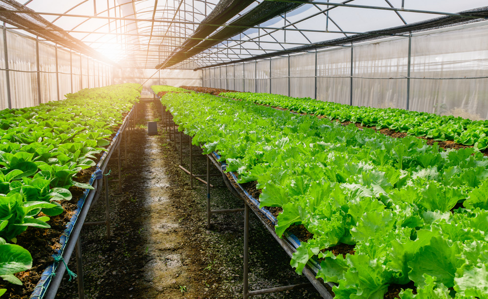 ADC_climate_smart_agro